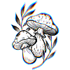 Psychedelic Mushrooms
