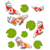 Koi Carp Pond Kois