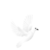 Weiße Taube für Friedensaufstand Peace