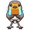 Robin Bird Kawaii Émoticône