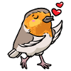 Robin Bird Kawaii Emoticon