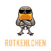 Rotkehlchen Vogel
