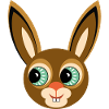 Hase