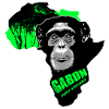 Gabon - Chimpanzé