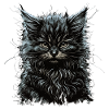 Maine Coon chat