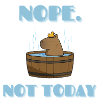 CAPYBARA not today