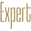 Expert 1