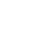 Simplifier