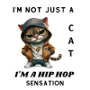 HIP HOP SENSATION