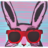 Chiller Hase