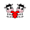 Cow Heart Love Cows