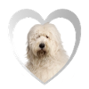 Bobtail Heart - J’aime Bobtail
