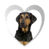 Beauceron Heart - J’aime Beauceron