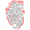 Parts Of Heart