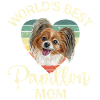 Chien Papillon Épagneul Nain