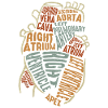 Parts Of Heart