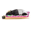 Tapir