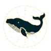 Blue whale