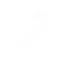 Cheval avec des fleurs
