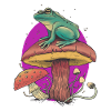 Frog On Mushroom