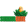 Sukkul-Ente