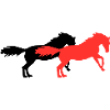 Horses
