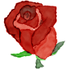 Romantic Rose Illustration