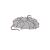 Rat Owner Gift Rats Lover