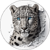 An endangered snow leopard