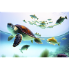 Underwater turtle