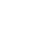American Dietitian USA Flag