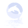 LES DAUPHINS