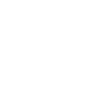 Guitare Nikan
