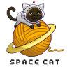 Space cat