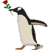 Pinguin 1