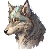 The gray wolf