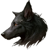 The Black Wolf