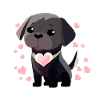 DOG LOVE MBP