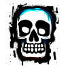 Skull MBP