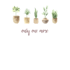 Only one plant left