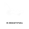 Recumbent Bike And Velomobile