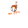 Baseball Mom On Fire