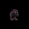 Strong as a lion