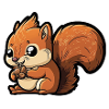 cute squirrel