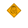 Botswana - Löwe