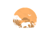 Botswana - Eléphant