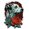 Dalmatian with red rose