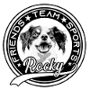 friends Team Sports