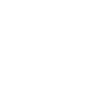 2023 Dash
