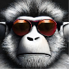 COOL MONKEY